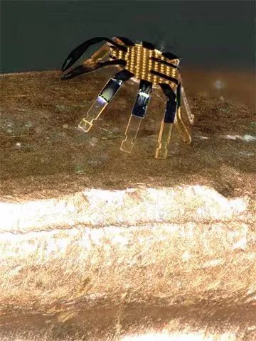 全球最小的遙控行走機(jī)器人誕生，用激光實(shí)現(xiàn)精準(zhǔn)運(yùn)動(dòng)控制